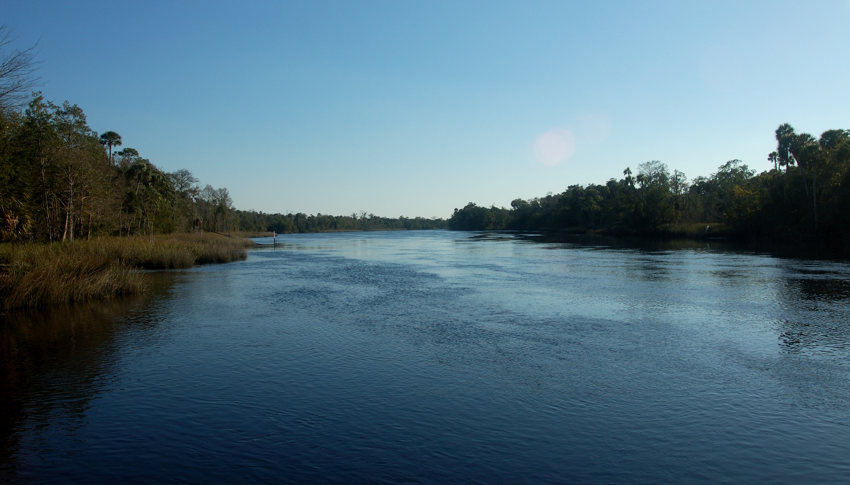 aucilla river.jpg