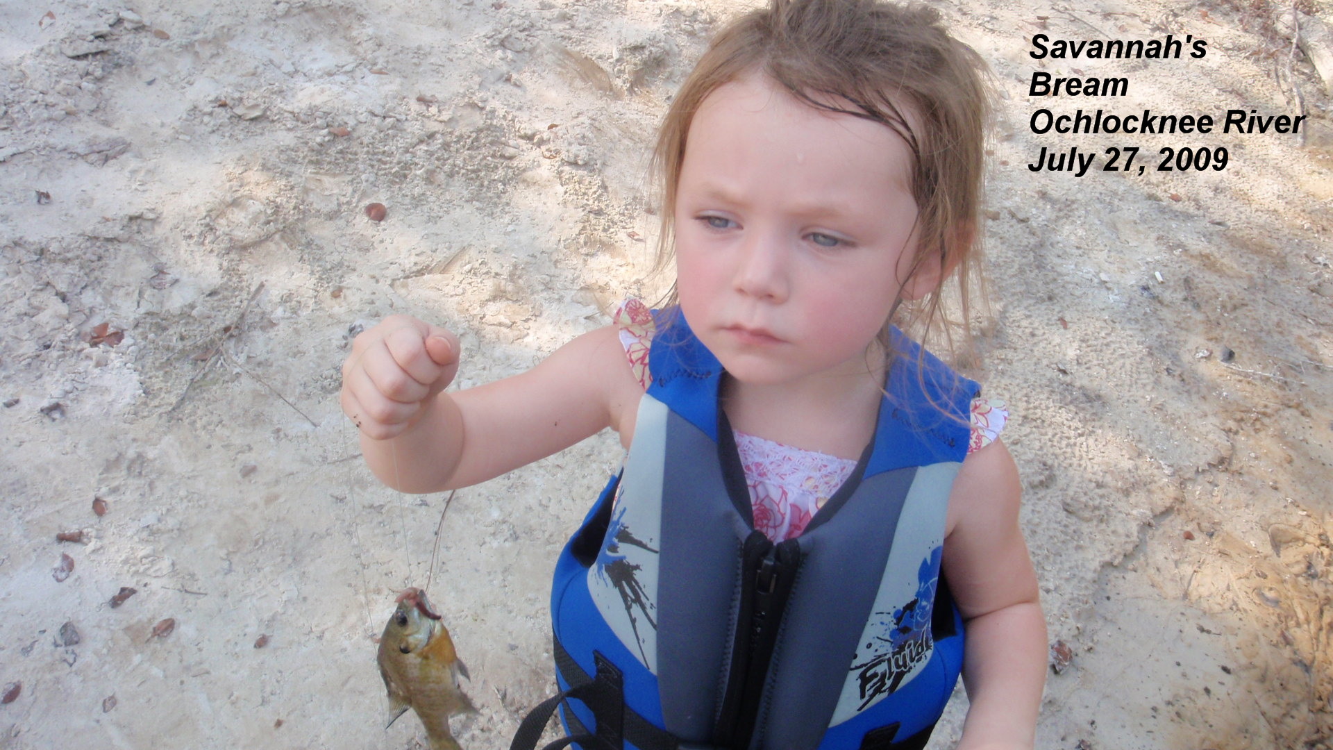 Savannahs Bream Papaw_June 2009.jpg