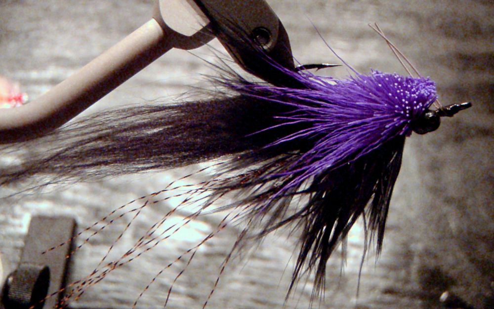 purple/black slider