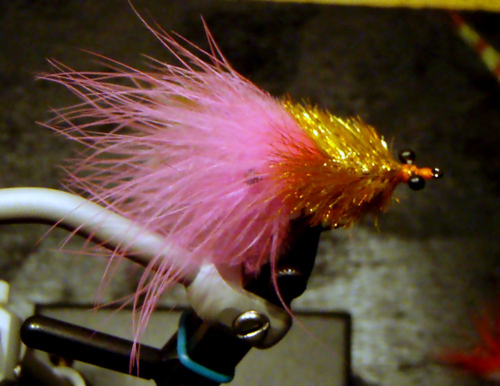 gold/pink toad