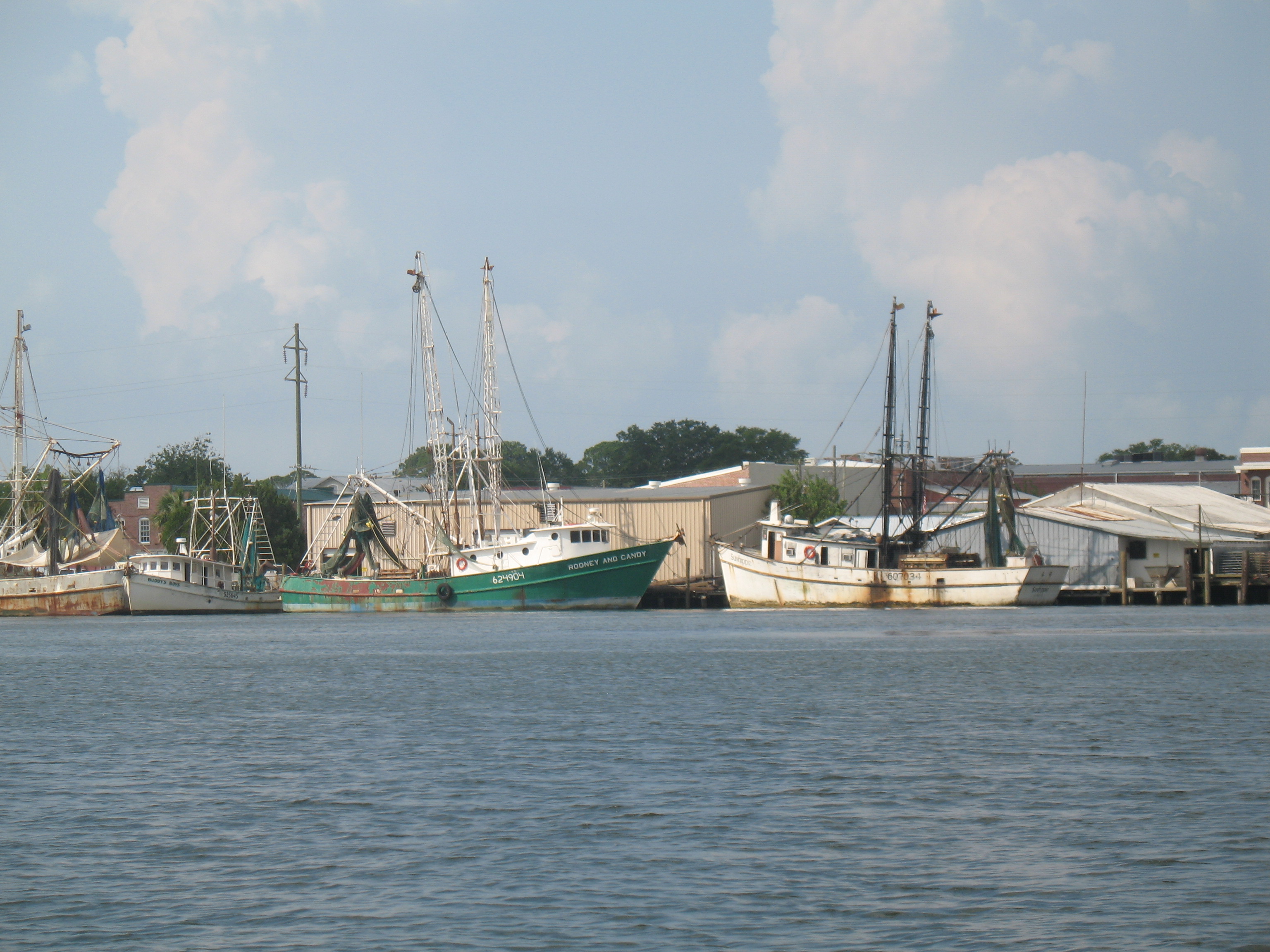 IMG_0050.jpg