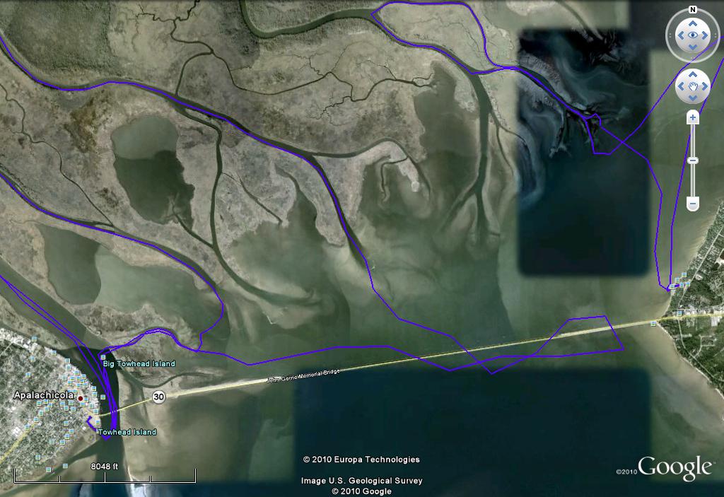 Distributaries Meet Bay.jpg