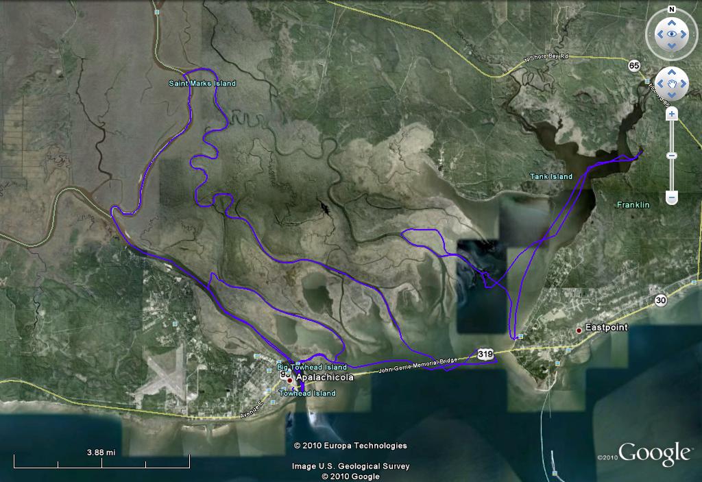 Tracks Distributaries.jpg
