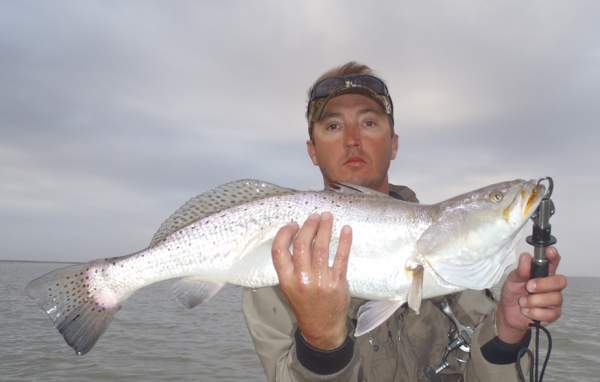 bigtrout.jpg