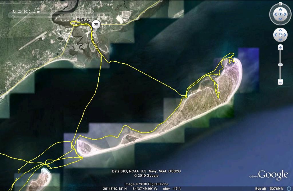 Dog Island.jpg