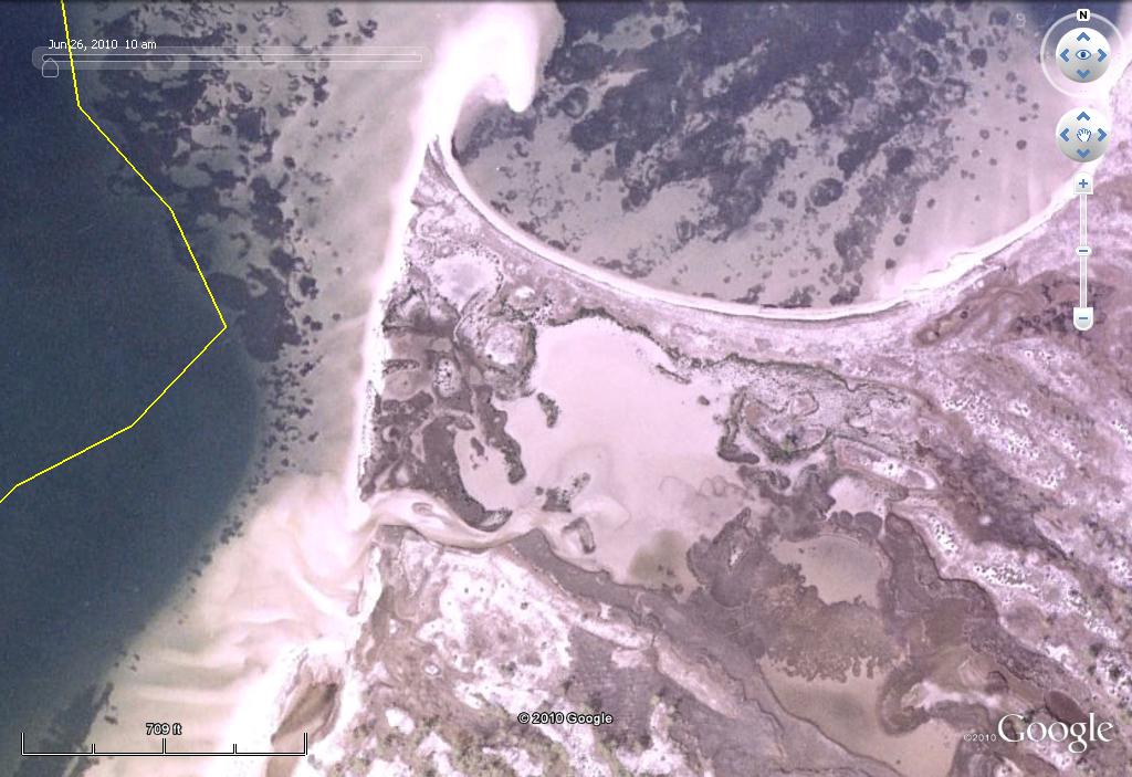 Black Mangrove Location.jpg