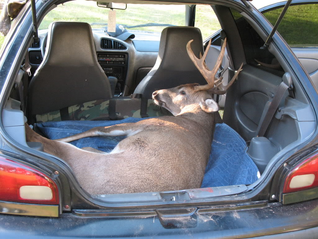 8pt.Geo.jpg