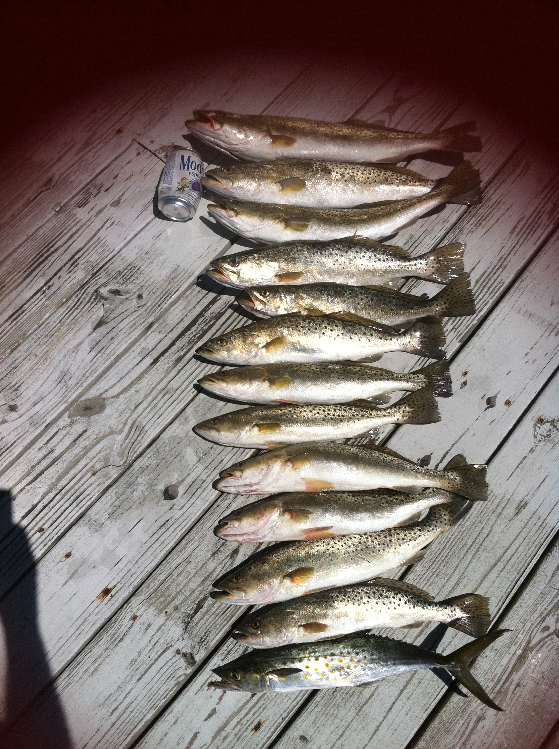 Sunday morning catch