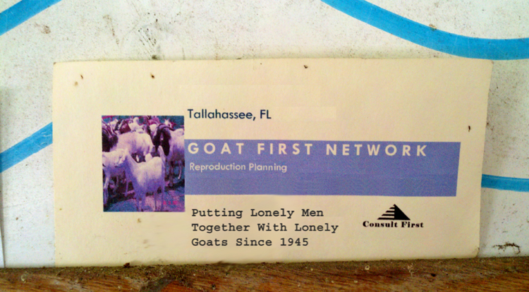 2011-04-10_12-55-11_694 Copy 1.jpg