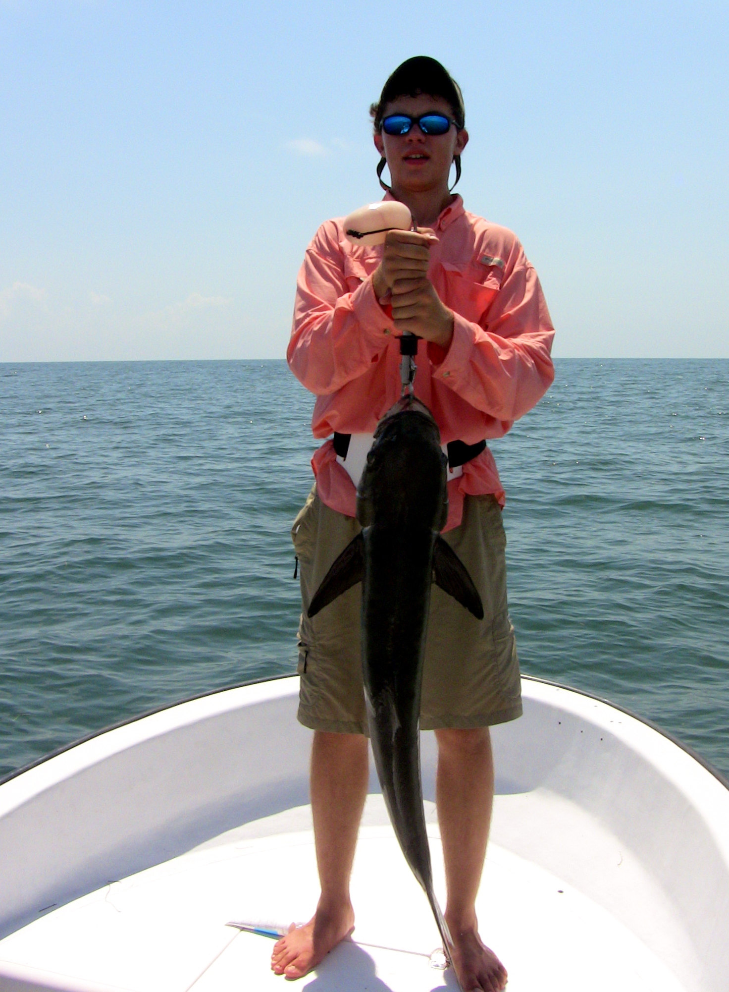 IMG_3331.JPG