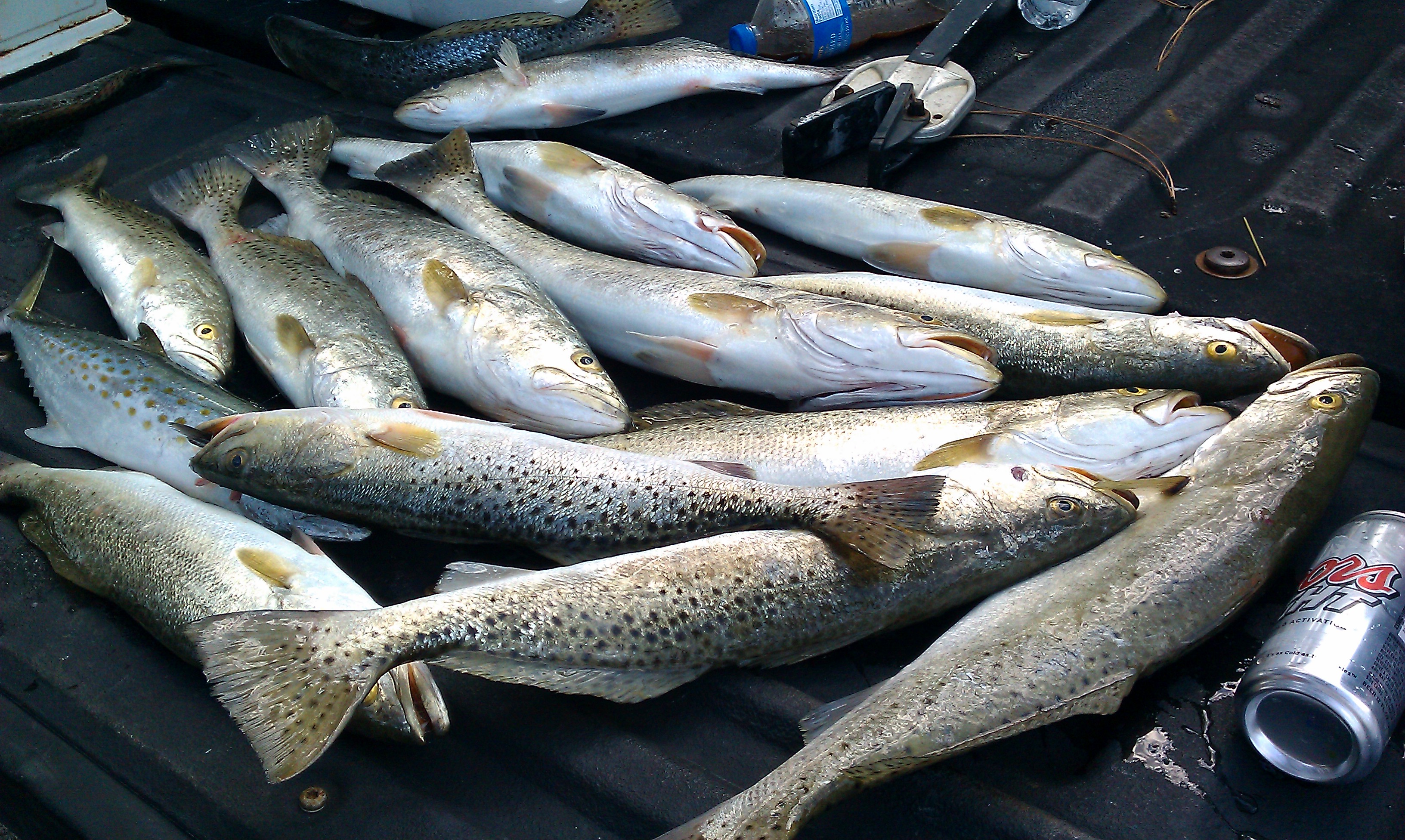 Shootout practice.jpg