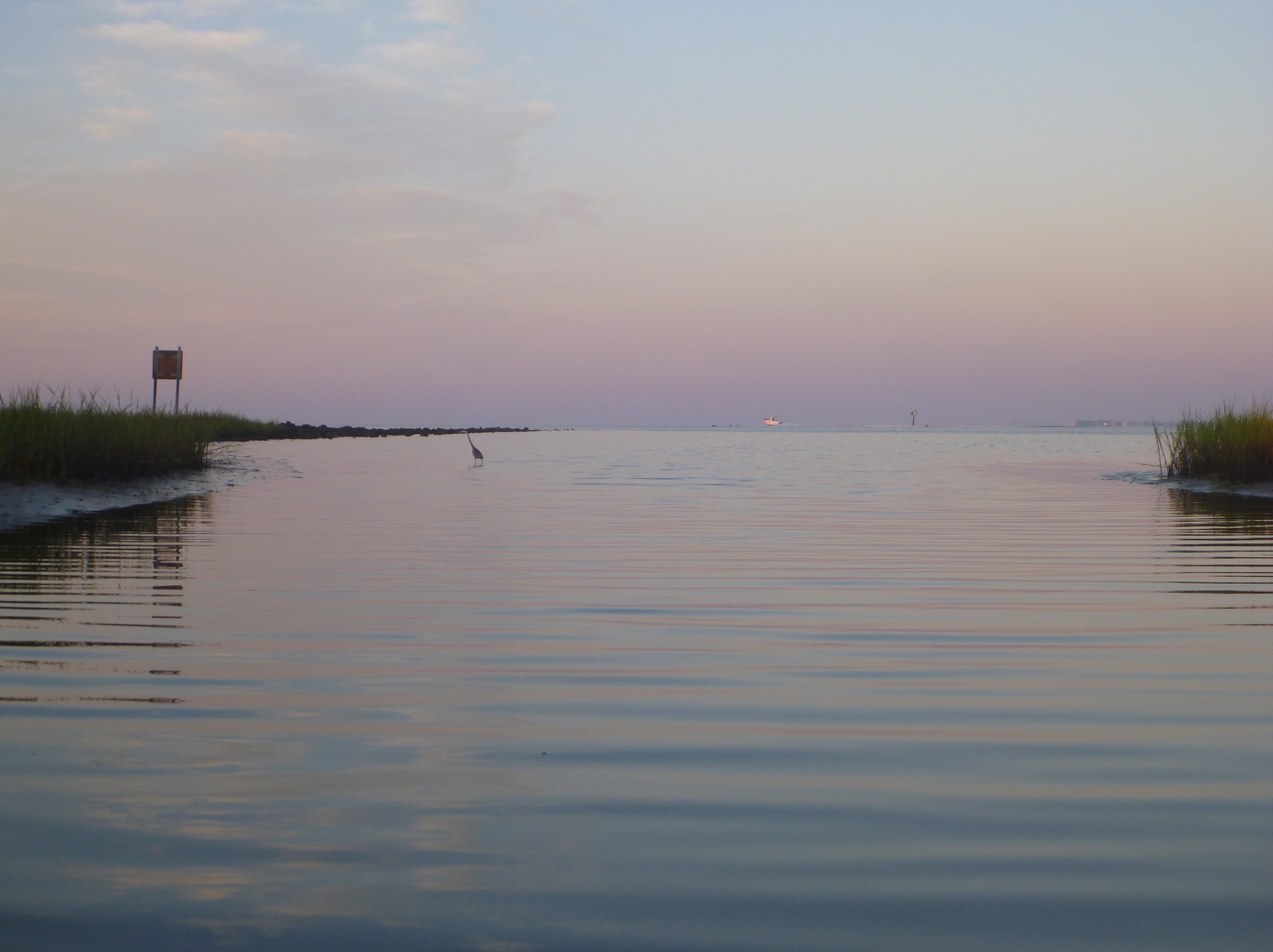 P1000074.JPG