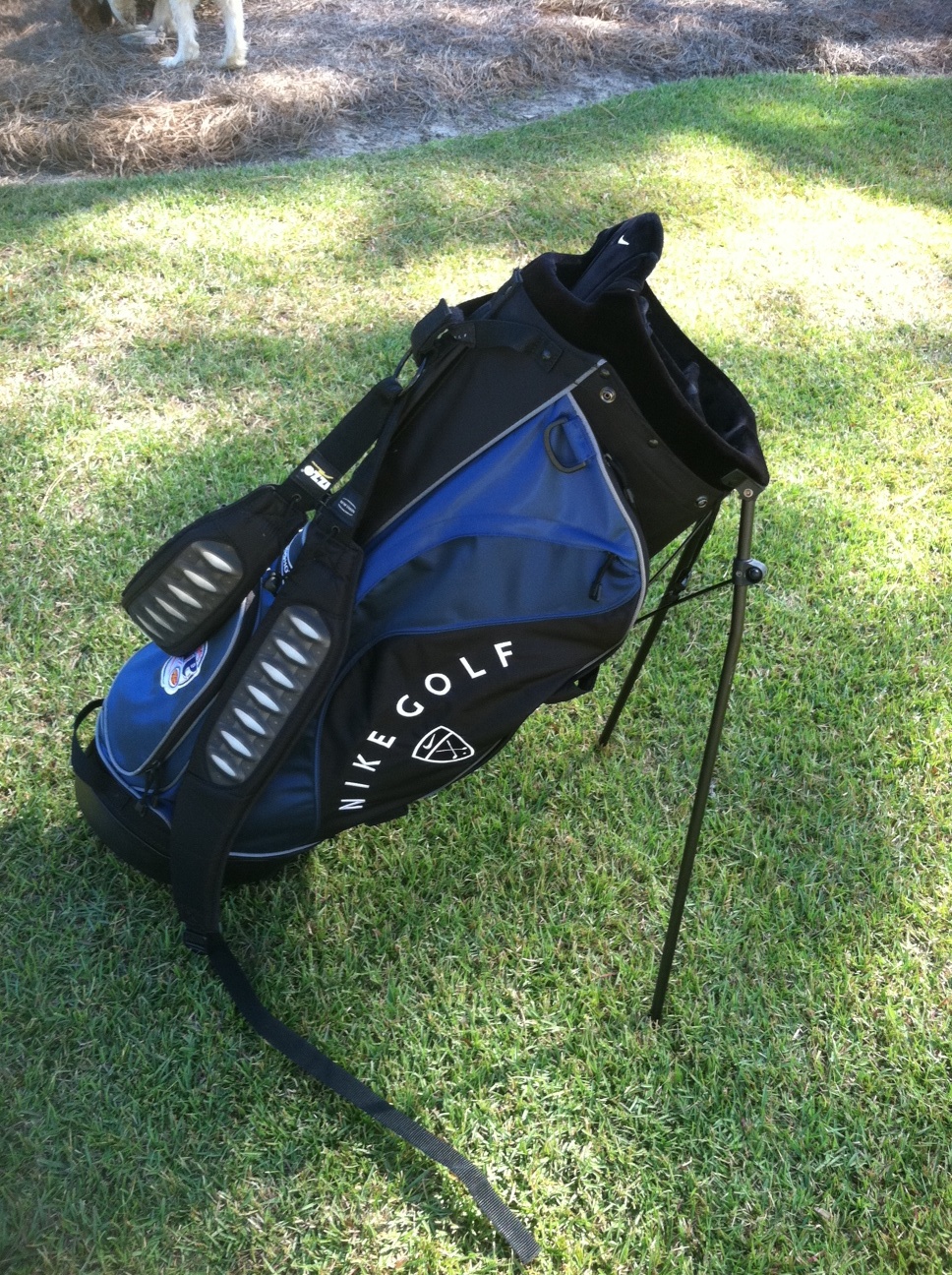 bag1.JPG