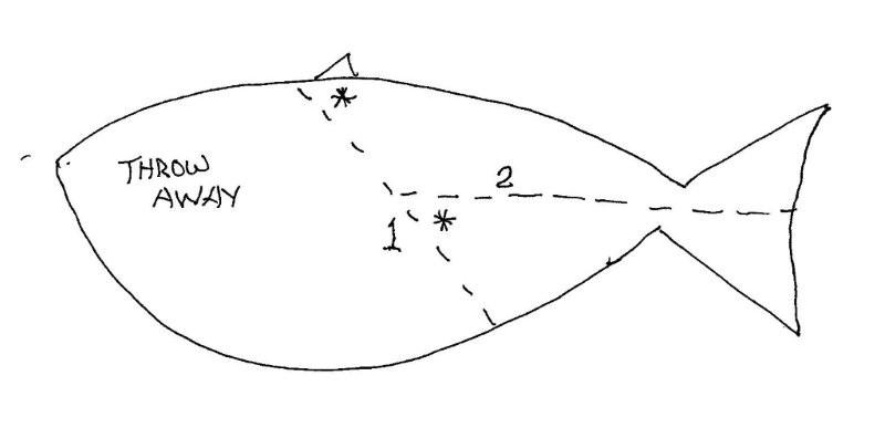 pinfish.jpg