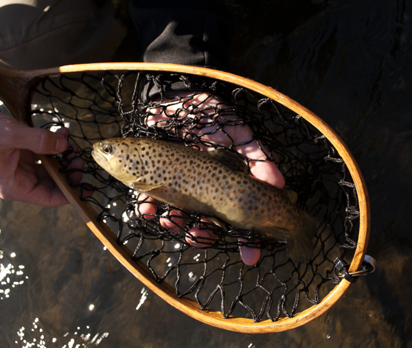 Blueridge3 023.jpg