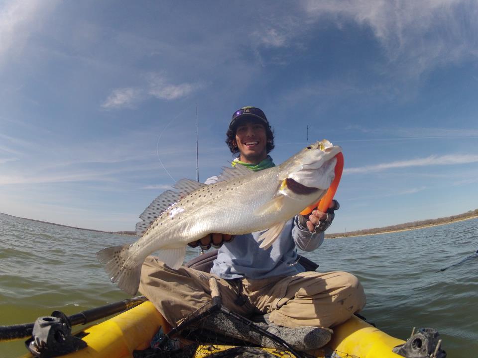 A Fat fish..jpg