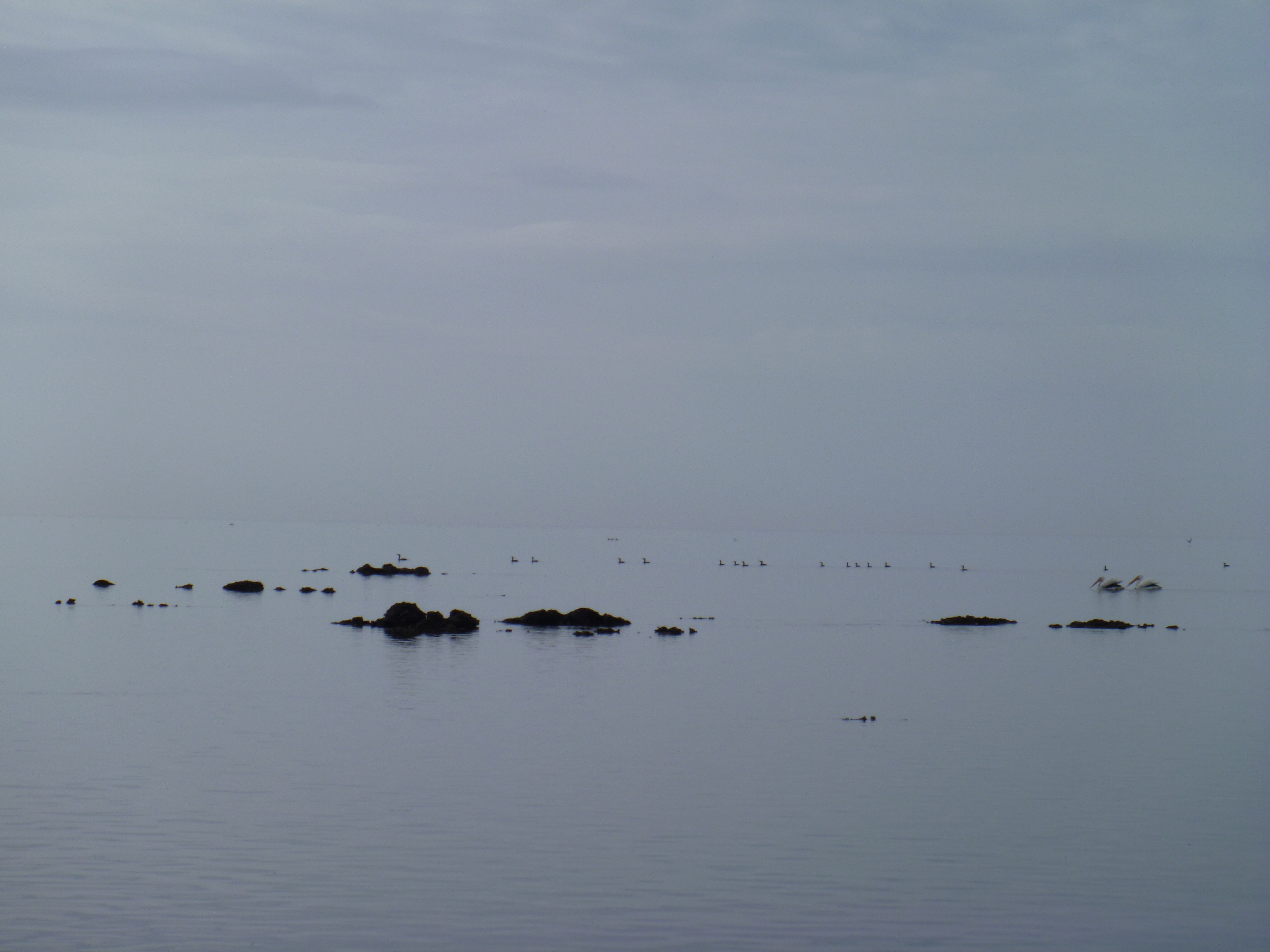 This is why it is called the Rock Garden