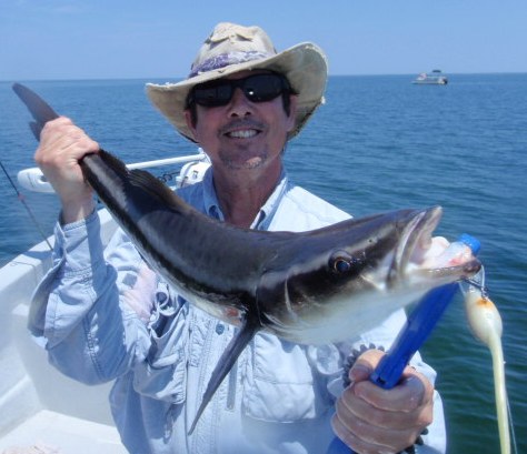 Will cobia_20120429_57.JPG