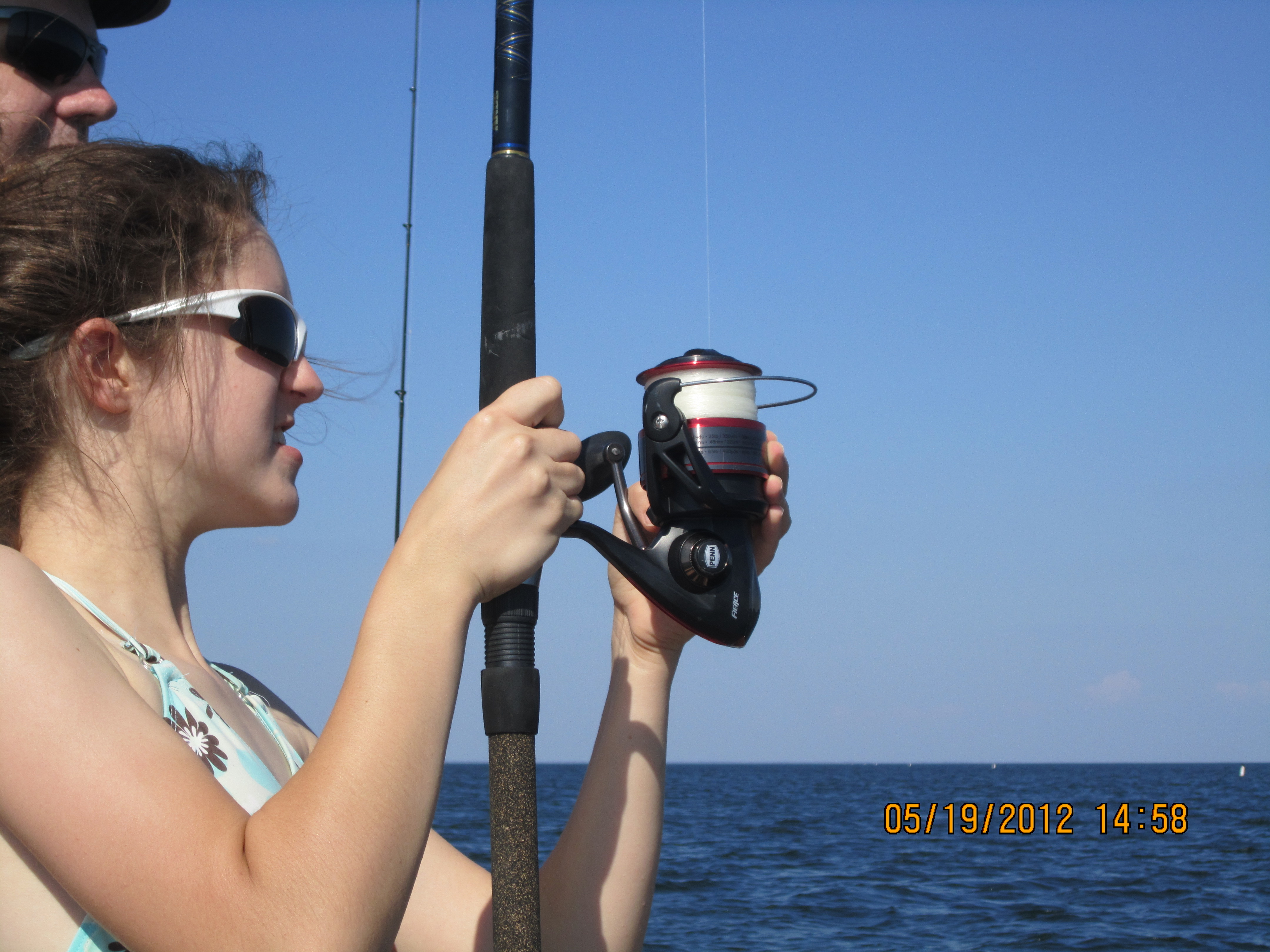 Tiger Shark 2012 007.JPG