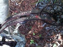 BOWTECH1.jpg