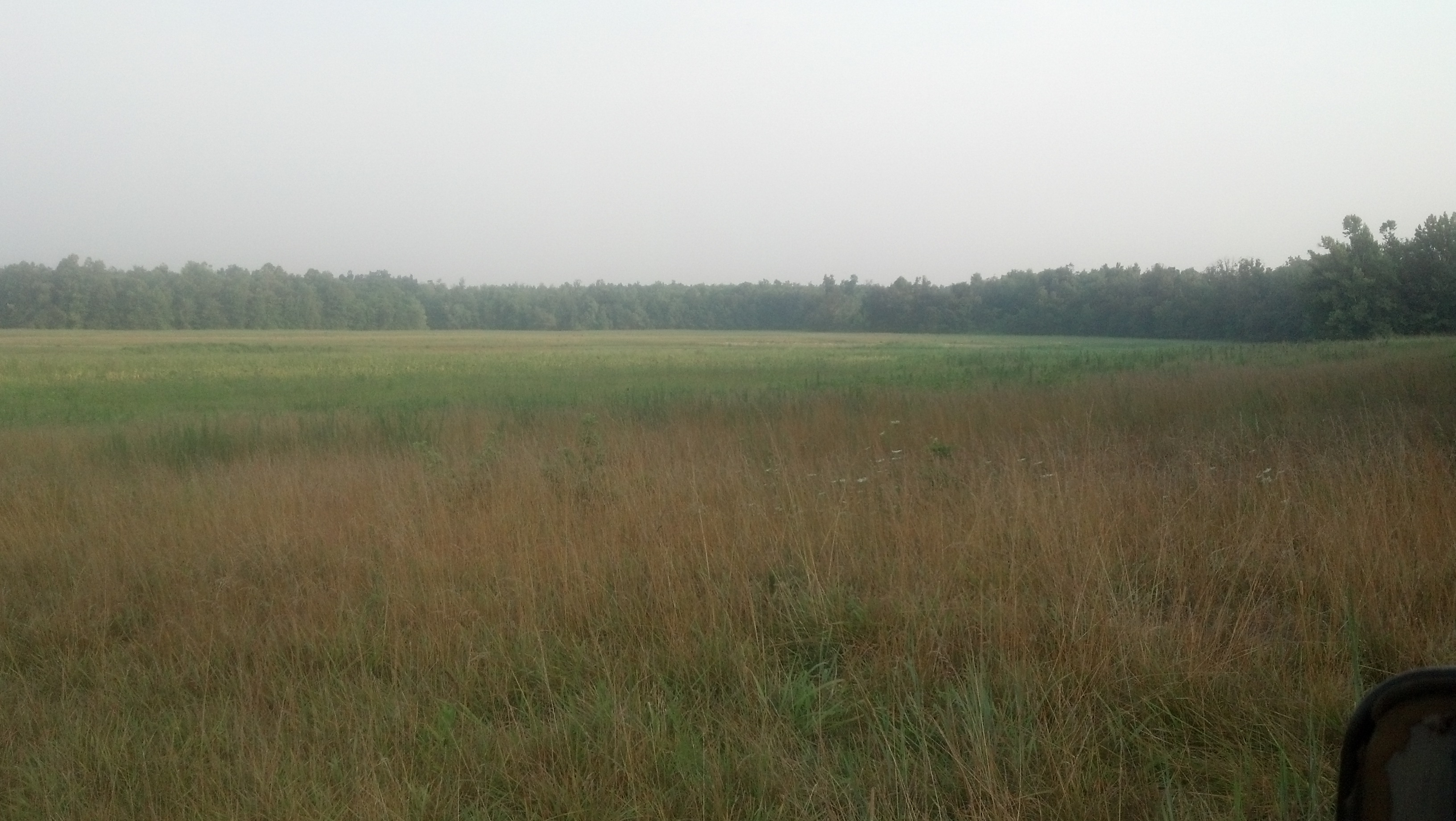 2012-07-01_06-46-28_595.jpg