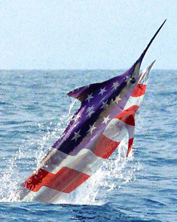 American Marlin.jpg
