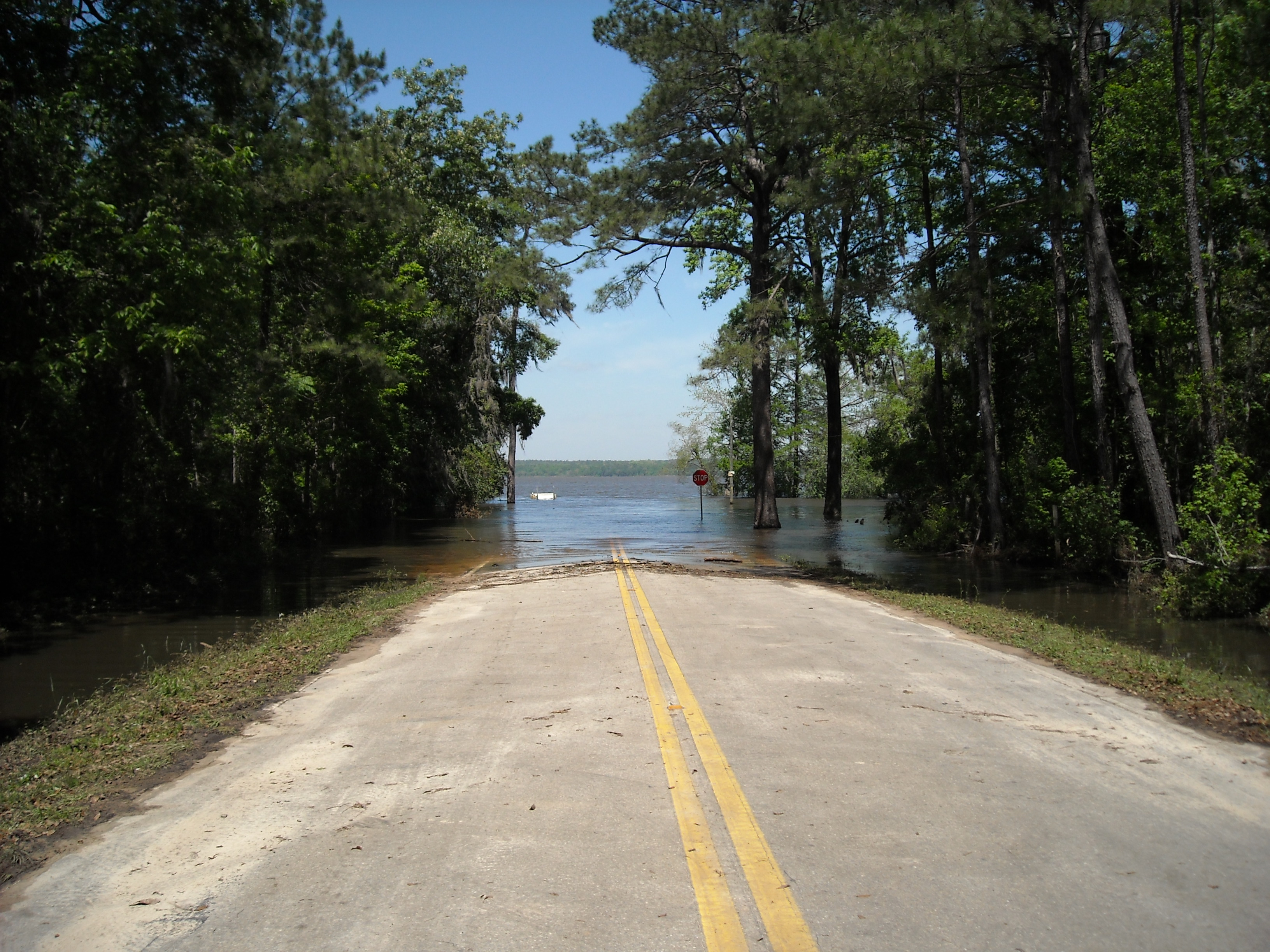 DSCN1020.JPG