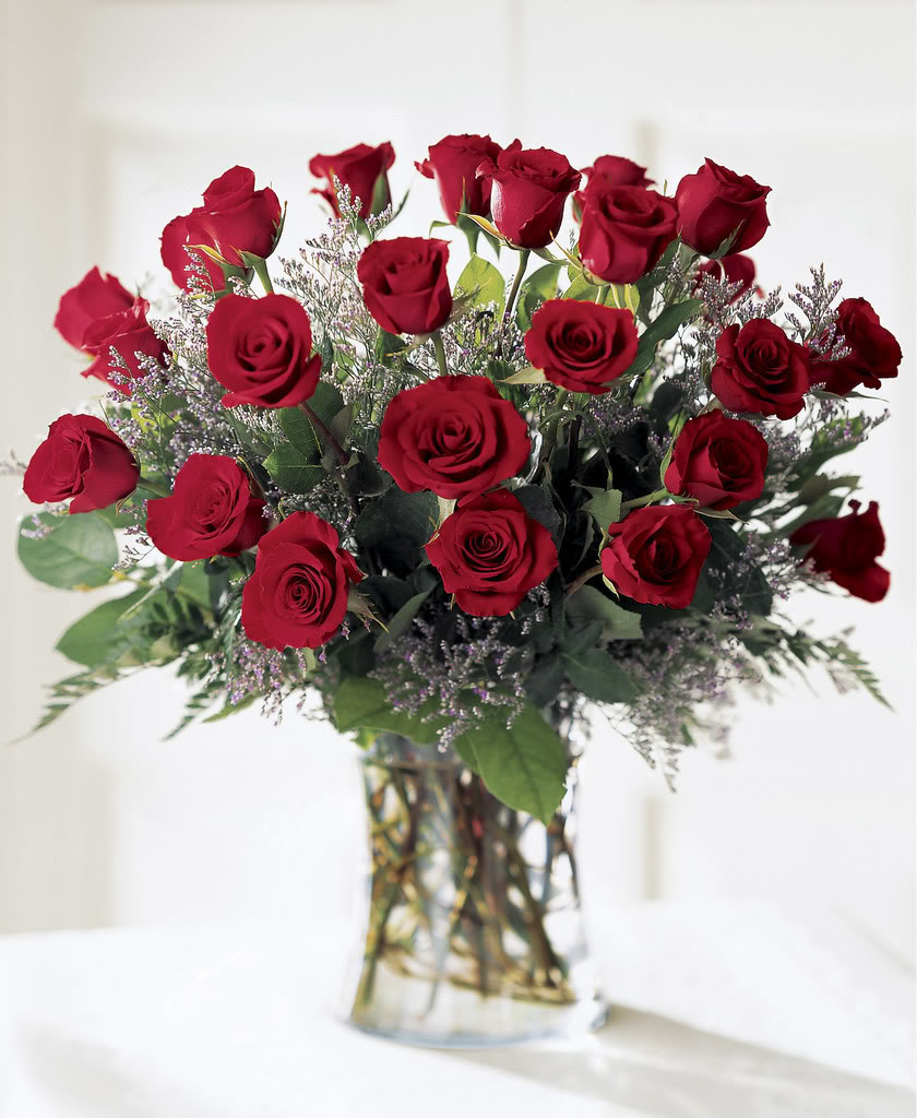 RedRoses.jpg