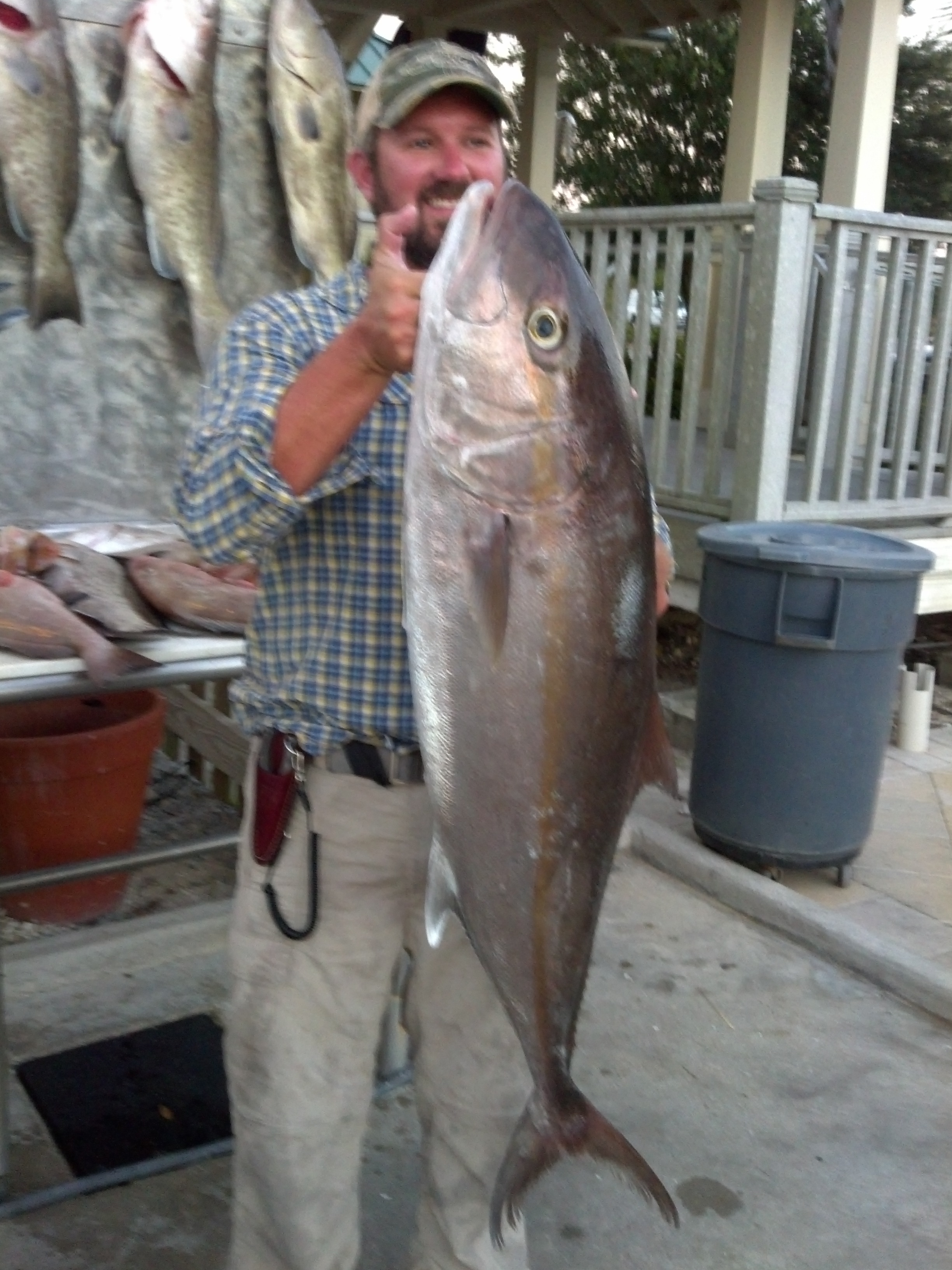 2012-09-23_18-42-34_770.jpg