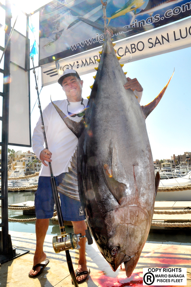 potential-world-record-yellowfin-tuna-caught-in-mexico-261198-1.jpeg