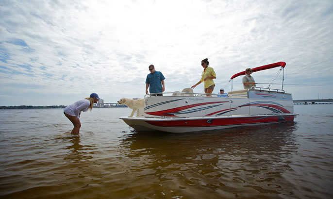 deck_boat_cruise24.jpg