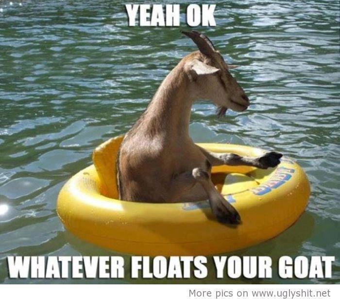 goat float.jpg