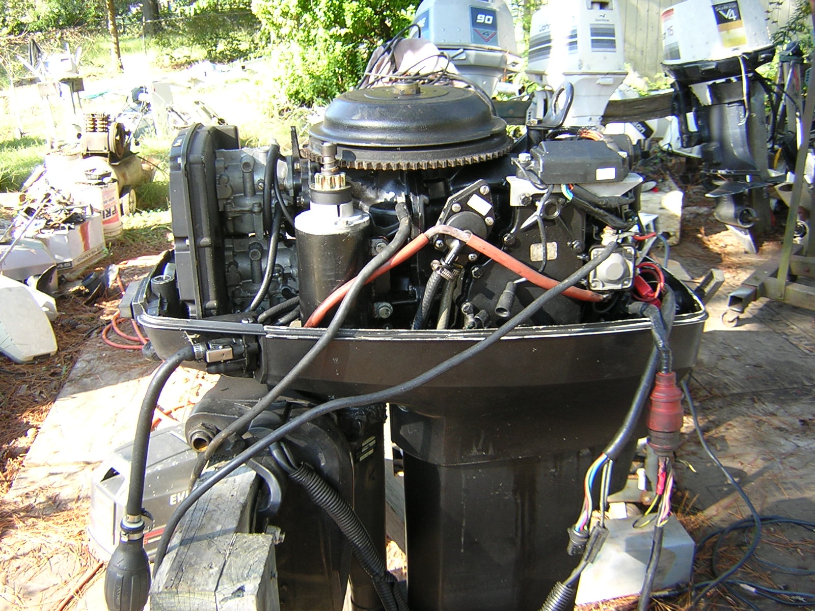 DSCN1308.JPG