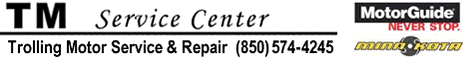 tmservice468x60.gif