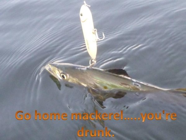 ImageUploadedByTapatalk1368237215.757680.jpg