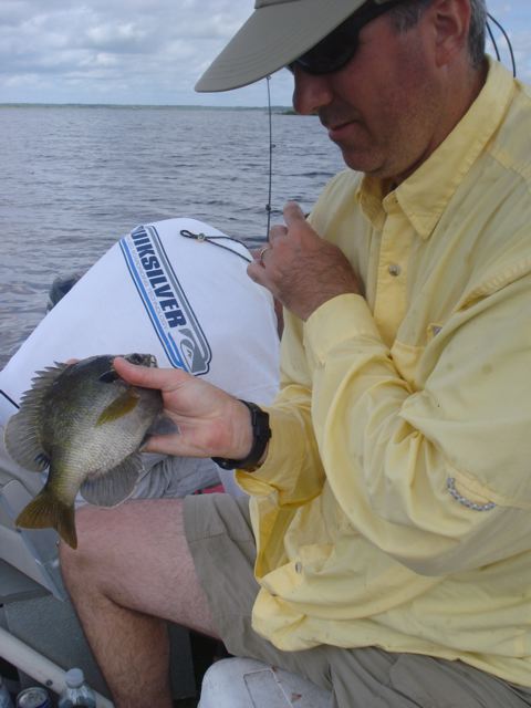 DSC03717.jpg