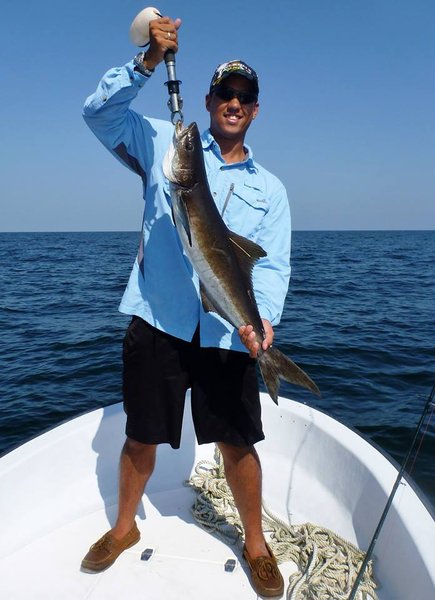 Joe's tagged cobia.jpg