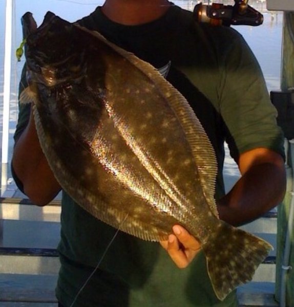 Slab Flounder.jpg
