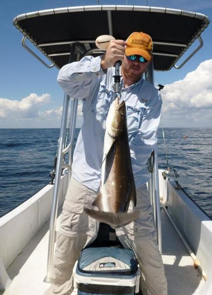 Smacked Nuticles.jpg