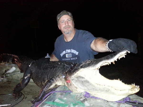 Gator2.jpg