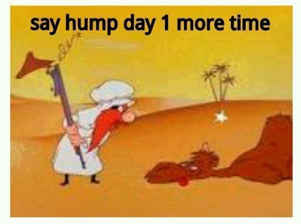 Humpday.jpg