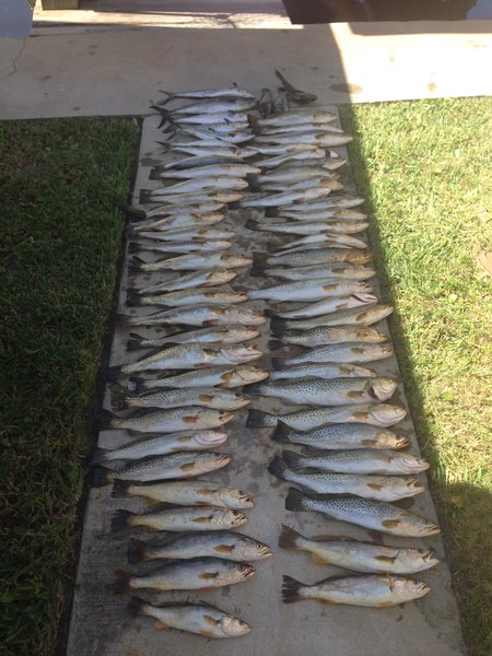 specs mixed in with sandies