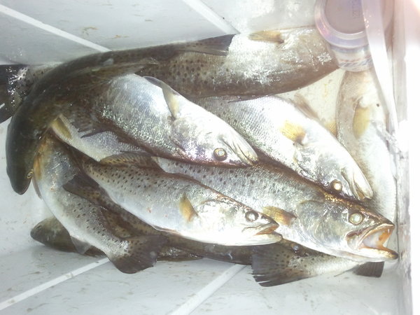 2013-12-27 17.57.34.jpg