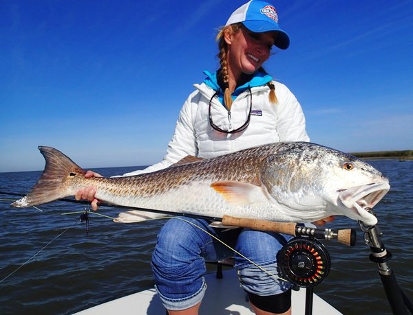 McCord red drum.jpg