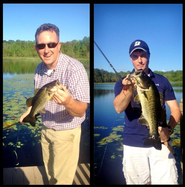 Minnow vs Bass.jpg