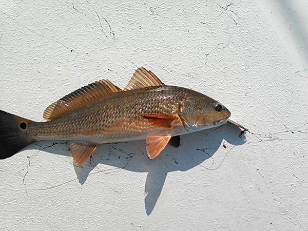 NCM_0030.JPG