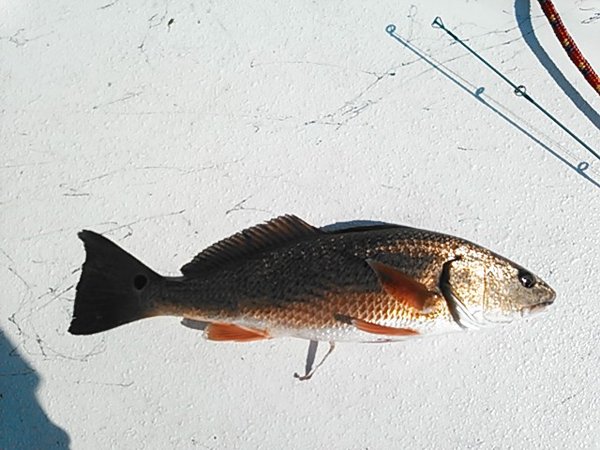 NCM_0034.JPG