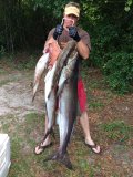 Free diving in state waters...cobie went 50#