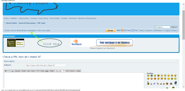 BigBendFishing.Net • Post a reply.png