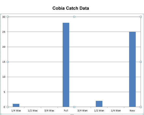 Cobia Catch Data.jpg